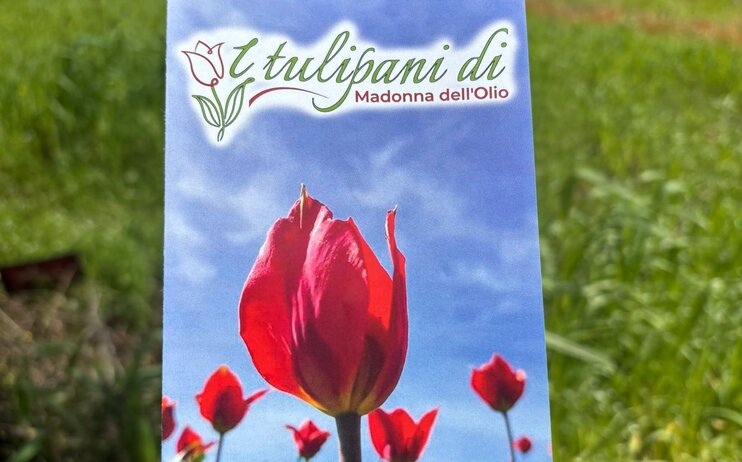 TULIPANI DI BLUFI E PALAZZO CHIARAMONTE